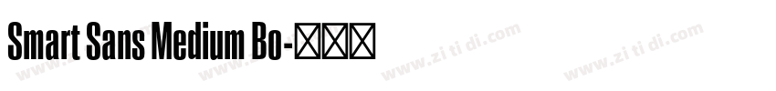 Smart Sans Medium Bo字体转换 Smart Sans Medium Bo字体转换